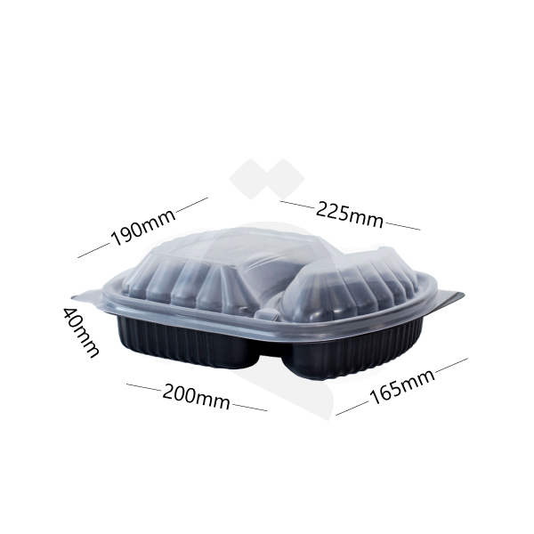 [006007] PP Plastic 2 Sections Rectangular Box 250/ctn