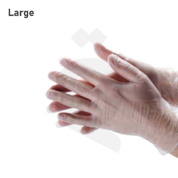 Large Clear Vinyl Gloves 1000/ctn